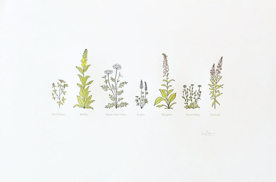 Wildflowers Print