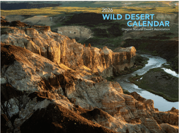 ONDA Calendar