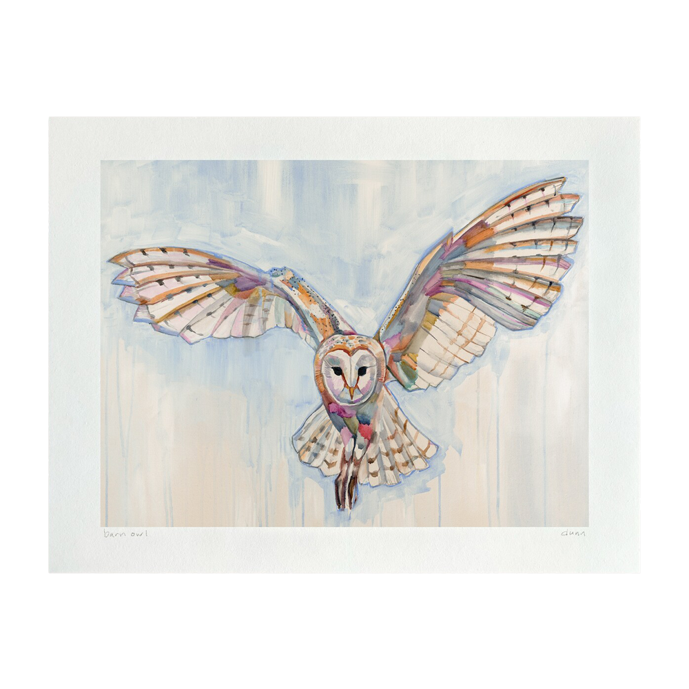 Barn Owl Print