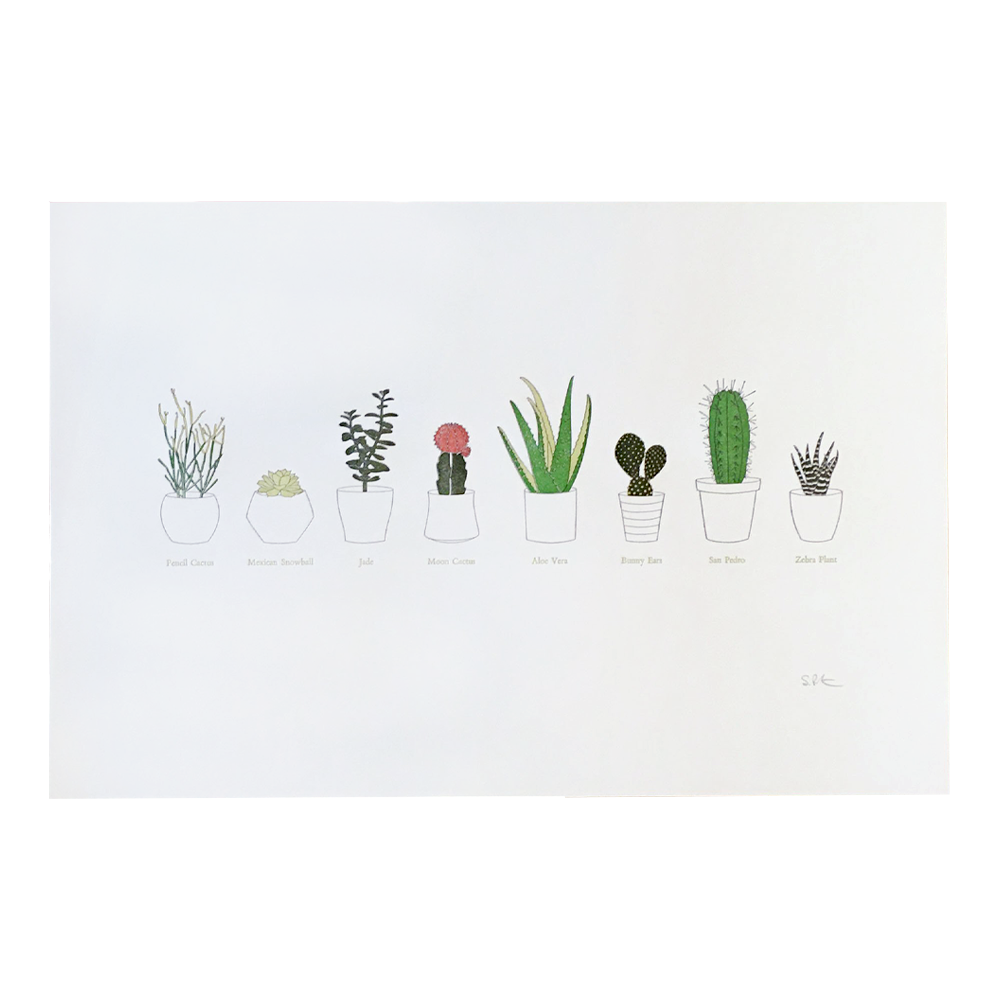 A Few Succulents Print