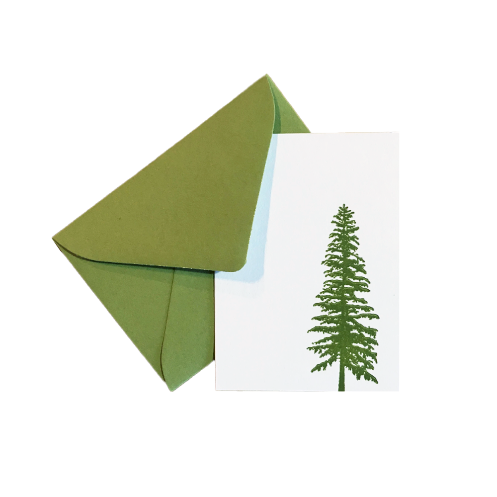 Pine Tree Gift Enclosure