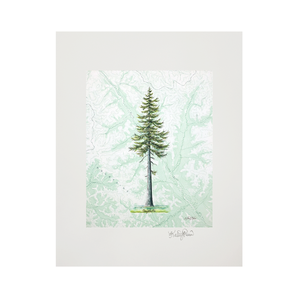 Douglas Fir Print