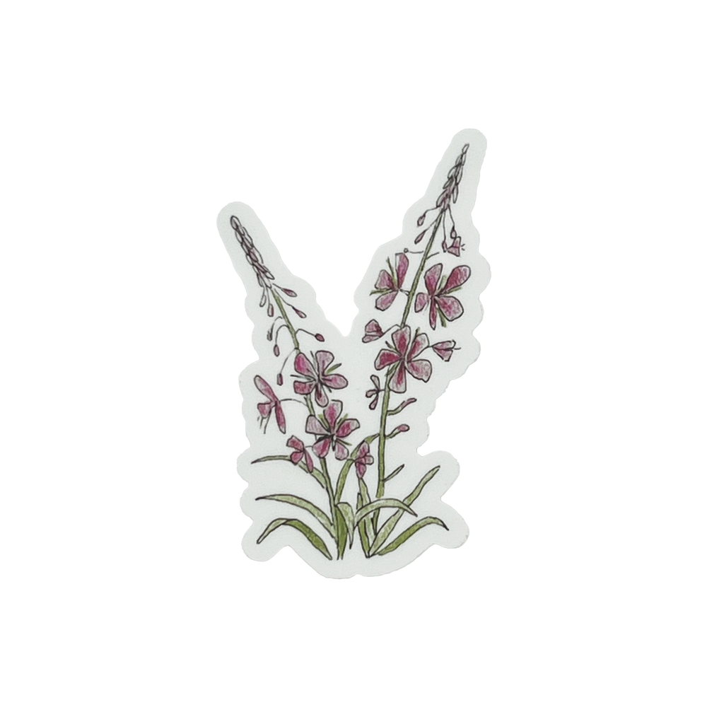 Fireweed Sticker