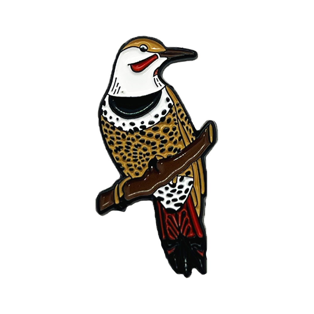 Northern Flicker Enamel Pin – The Bend Store