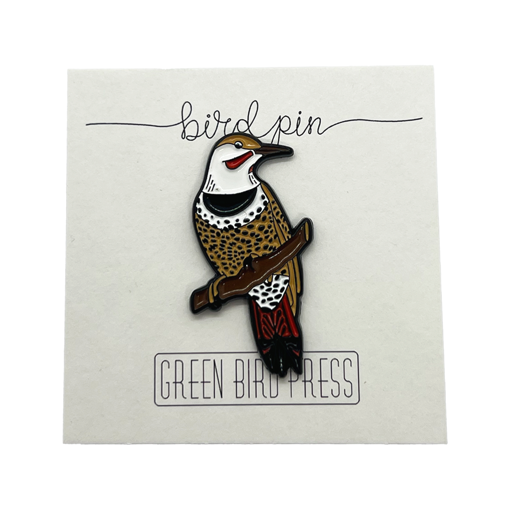 Northern Flicker Enamel Pin – The Bend Store