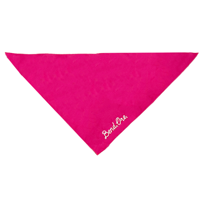 Bend Dog Bandana