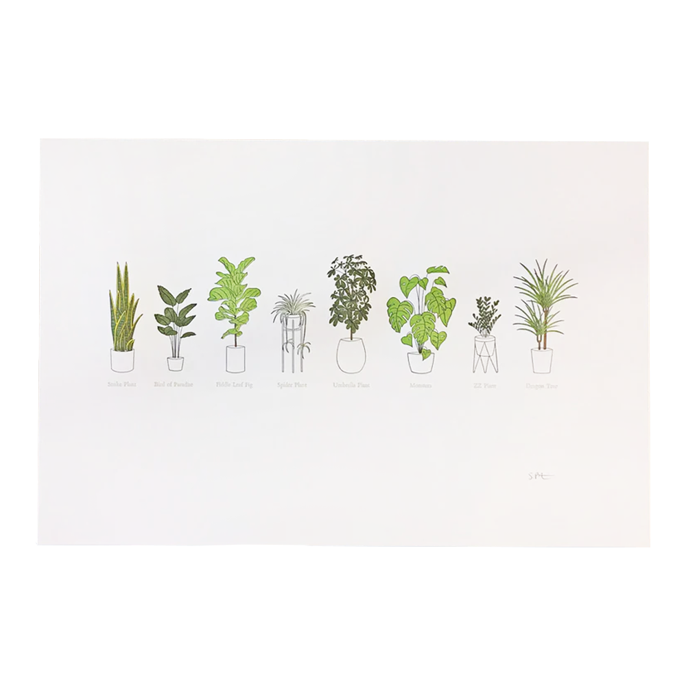 A Few Houseplants Print