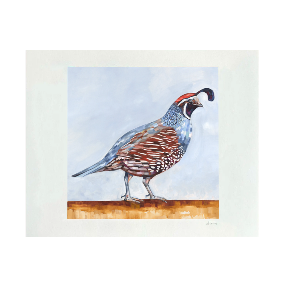 California Quail II Print