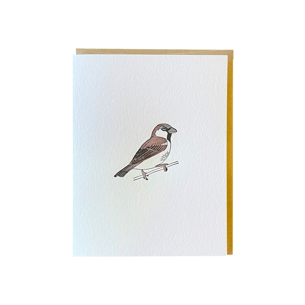 House Sparrow Card