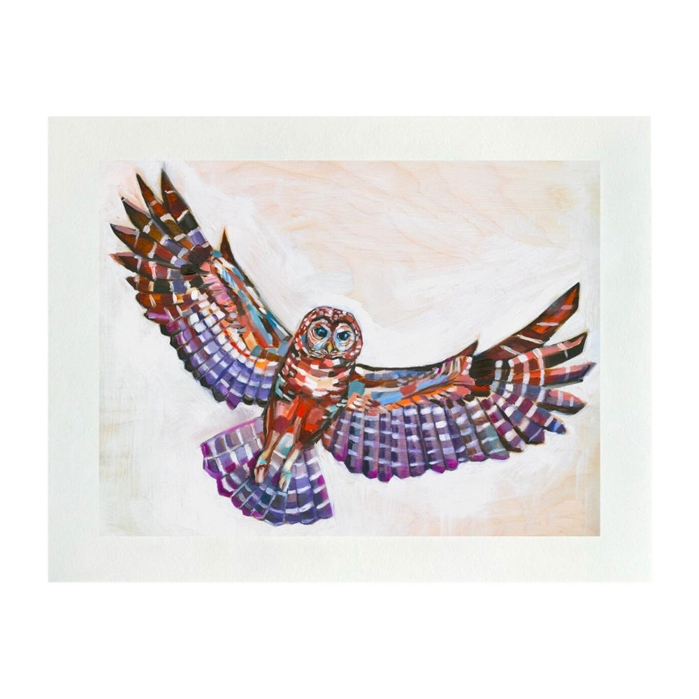 BC Spotted Owl Print