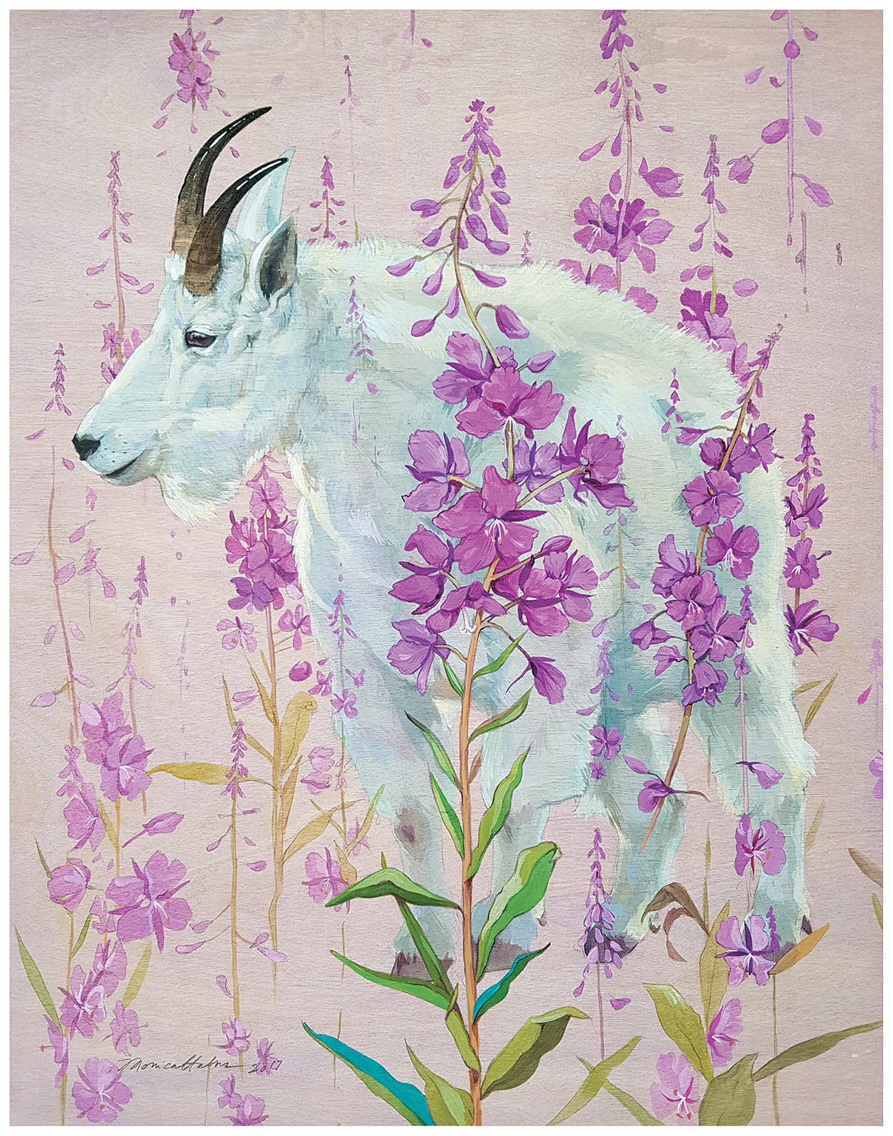 Mountain Goat Fireweed Print