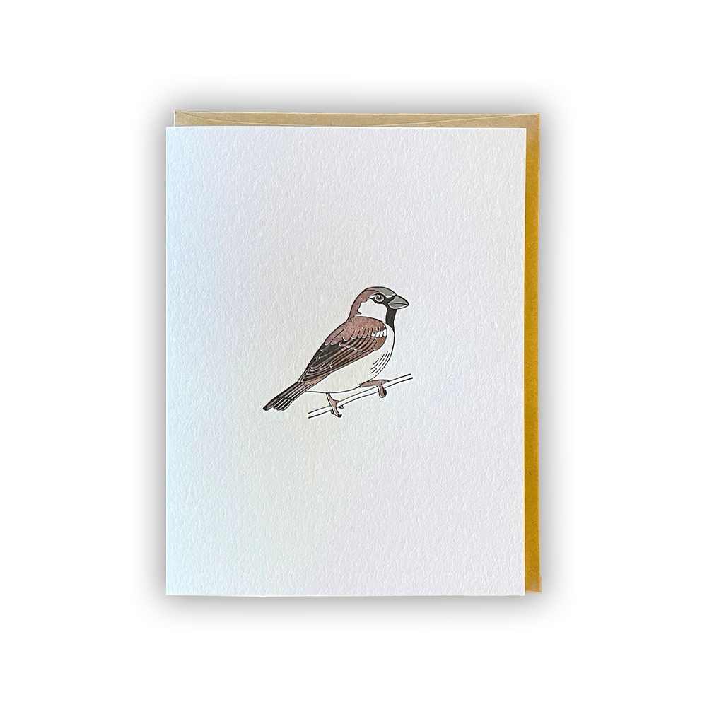 House Sparrow Card