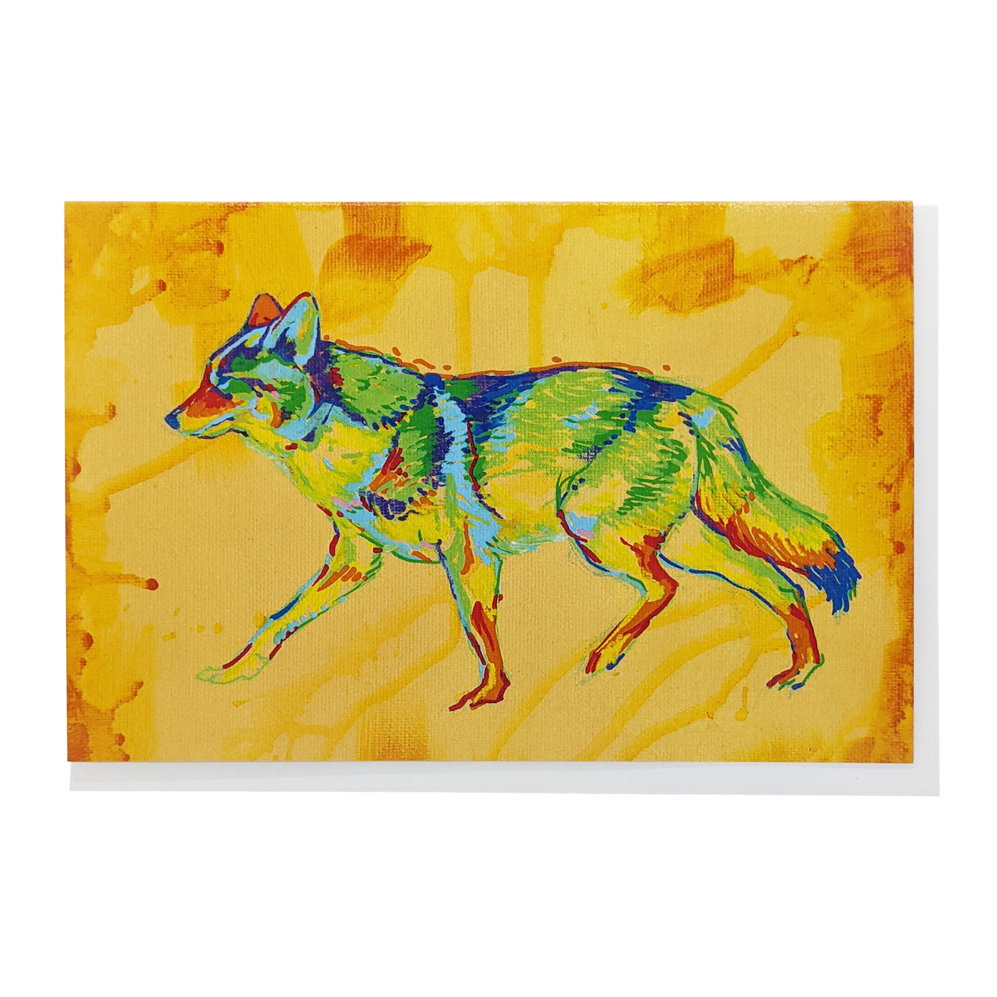 Coyote - Western Animals Card