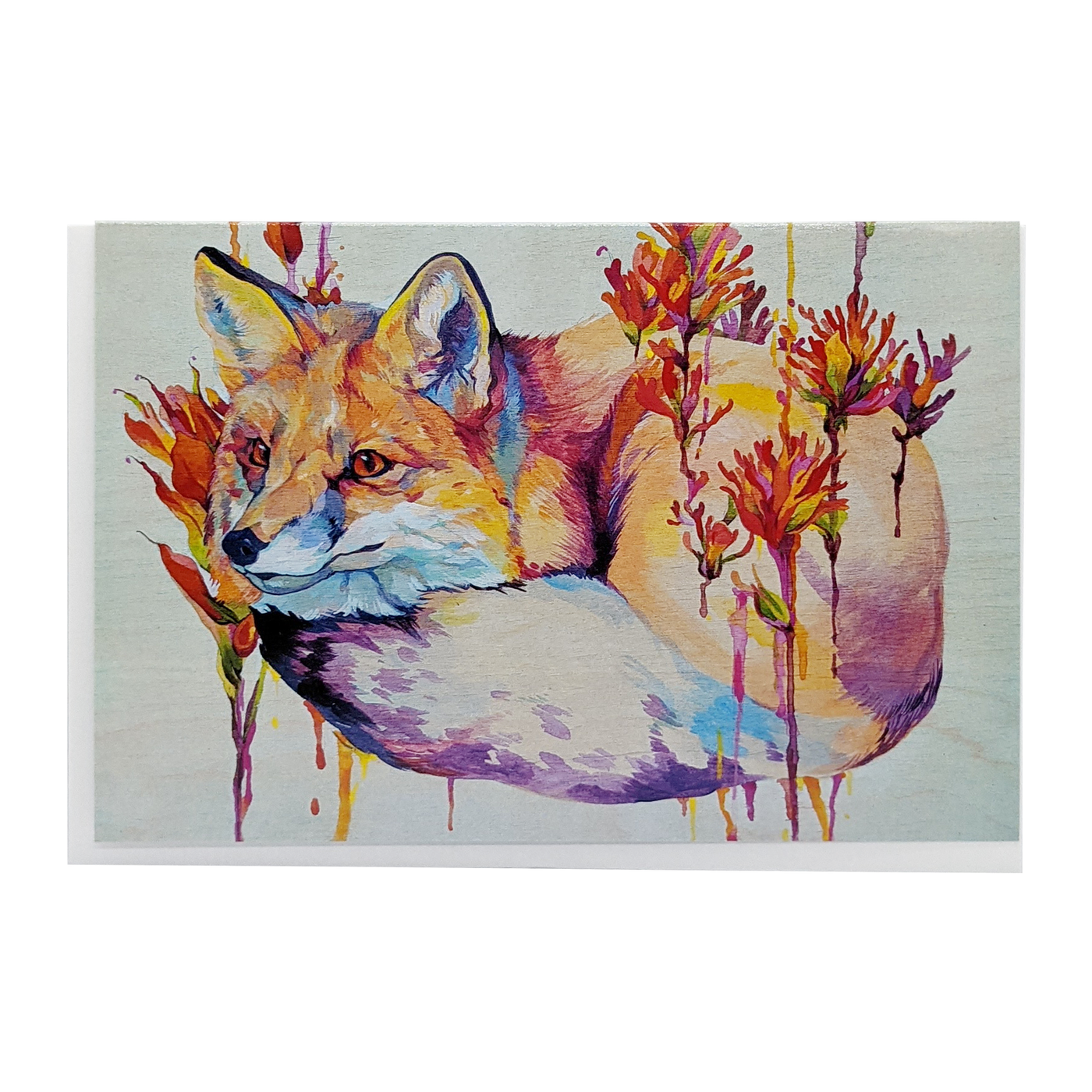 Red Fox Indian Paintbrush Card