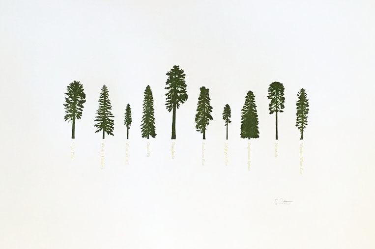 Pine Tree Print