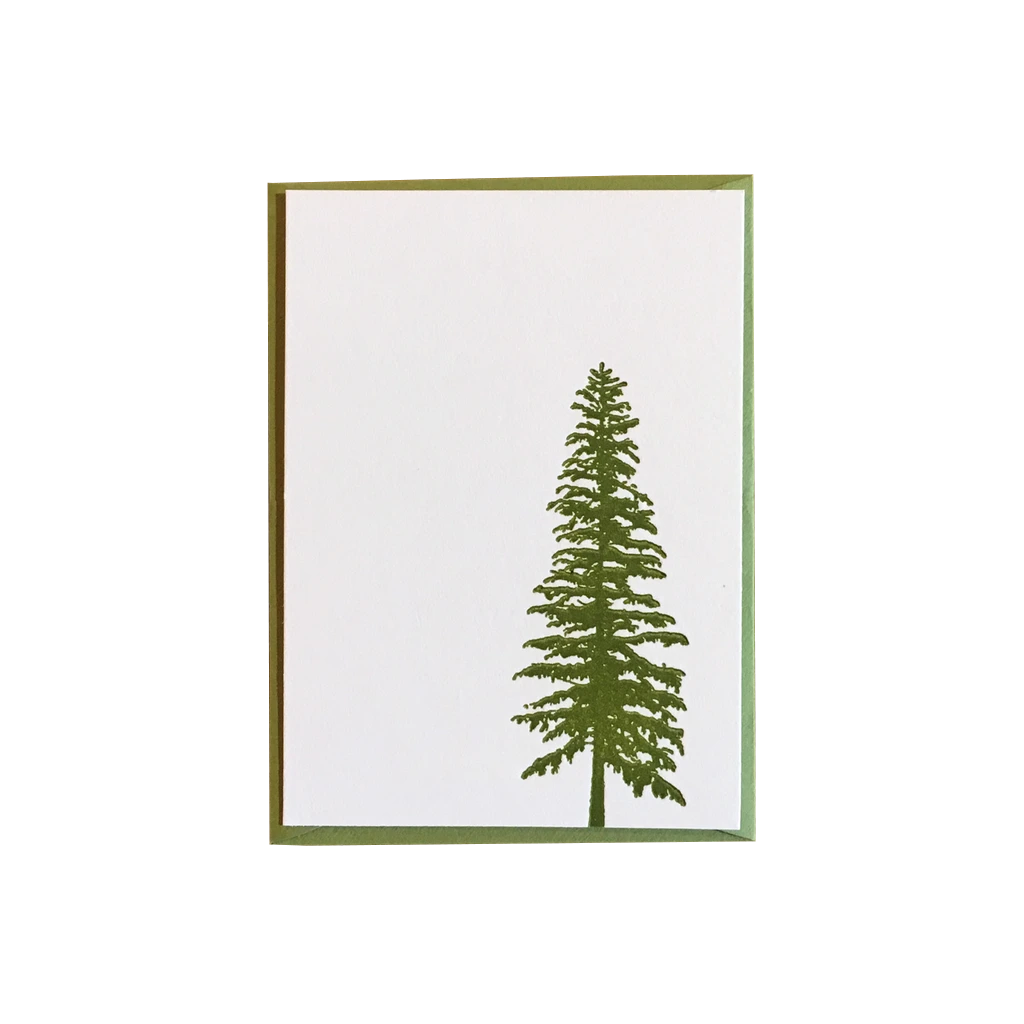 Pine Tree Gift Enclosure