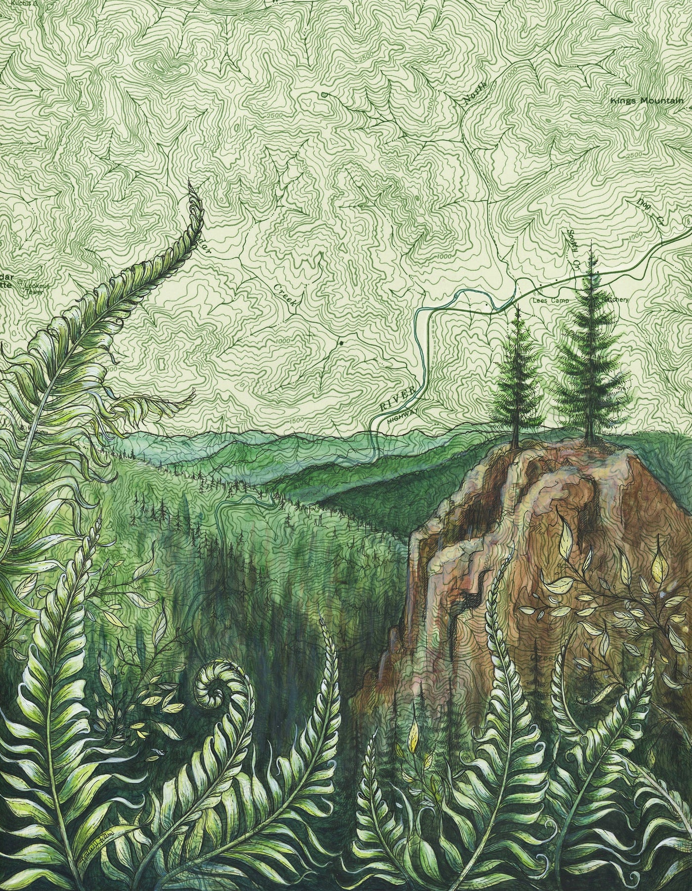 Tillamook Forest Print