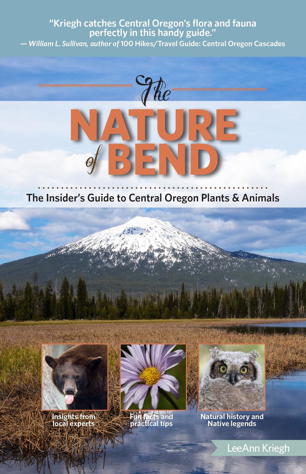 The Nature of Bend