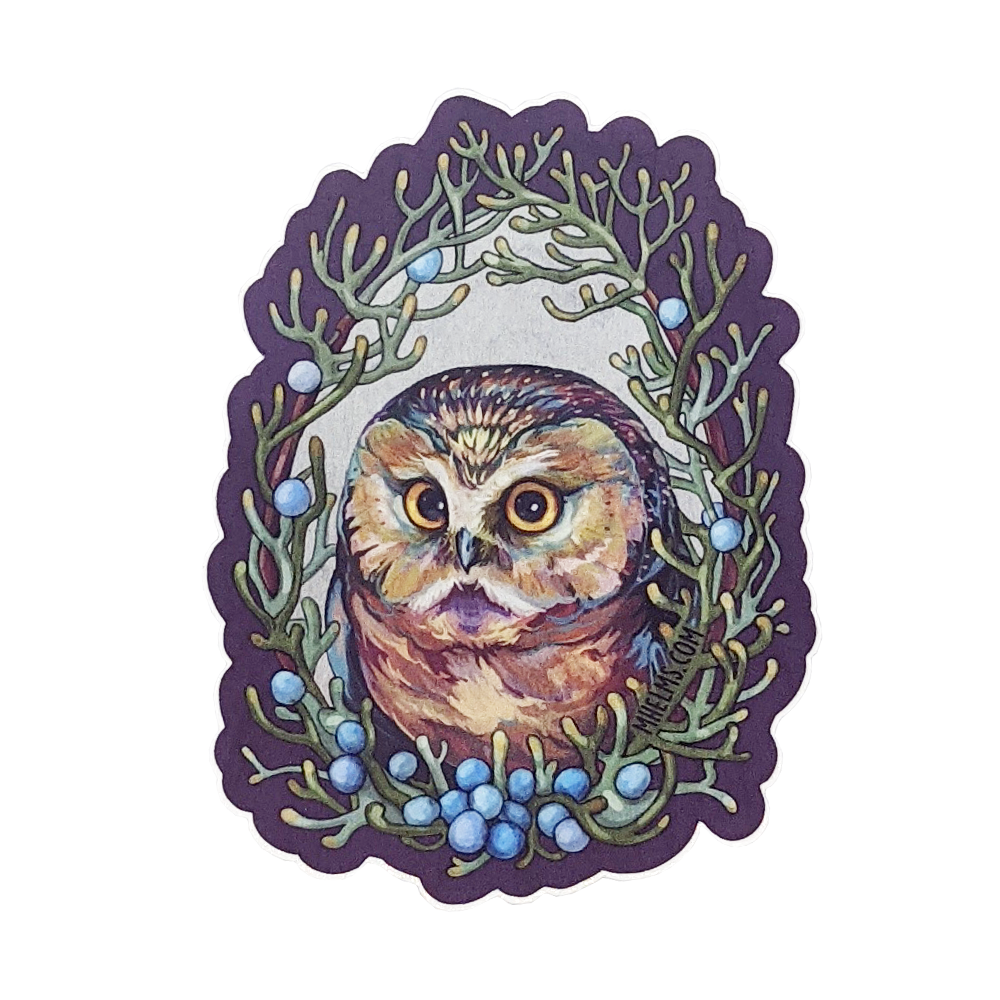 Northern Saw-Whet Owl Sticker
