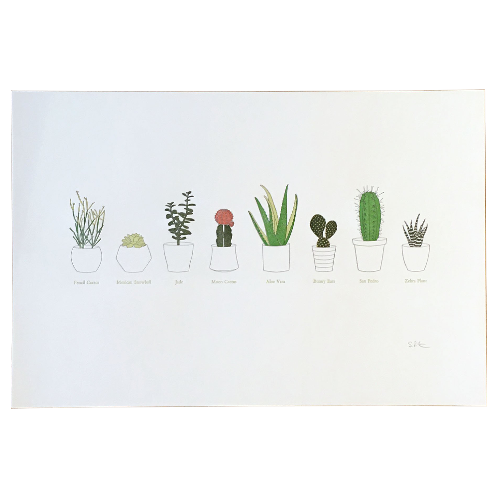 A Few Succulents Print